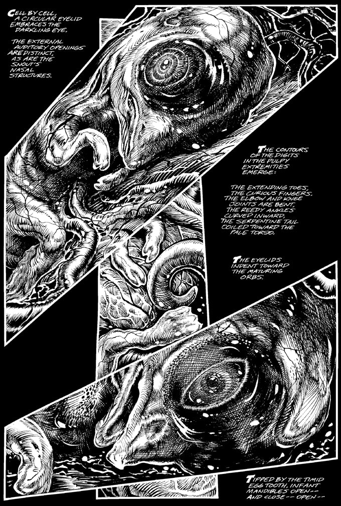 Stephen Bissette's Tyrant Complete Edition Signed
