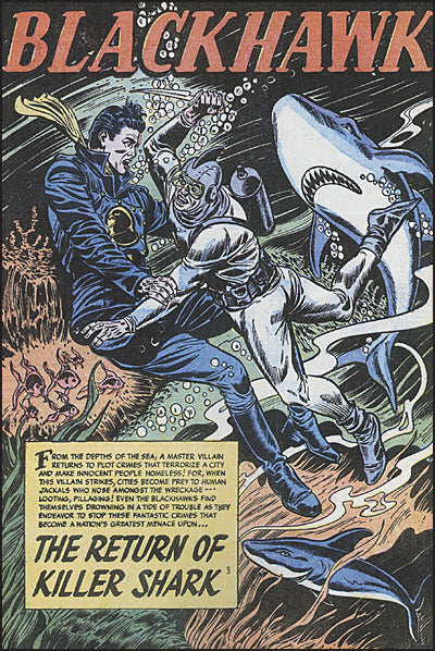 BLACKHAWK Volume 14