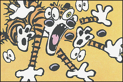 THE CALVIN AND HOBBES PORTABLE COMPENDIUM SET Volume 3