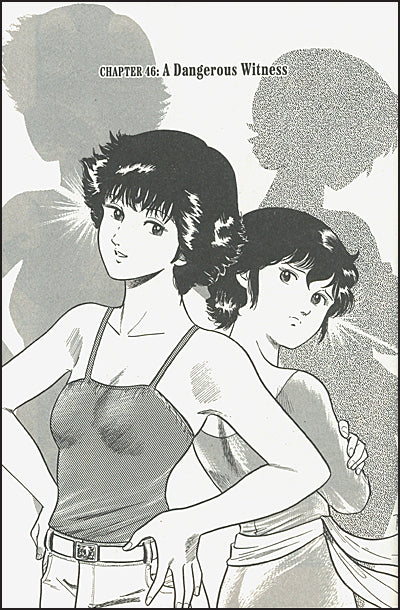CAT'S EYE Omnibus Volume 2