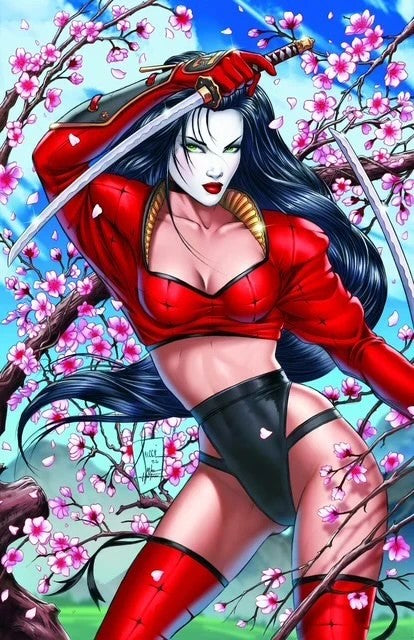 SHI SENRYAKU 30TH ANNIVERSARY cover image