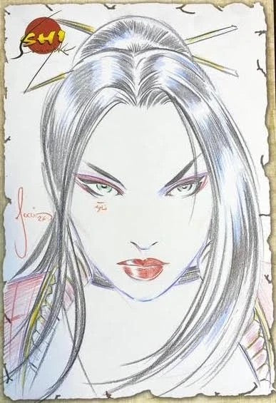 SHI SENRYAKU 30TH ANNIVERSARY SKETCH COVER cover image