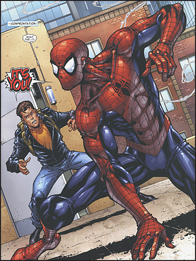 THE AMAZING SPIDER-MAN Web-Slinger, Hero, Icon