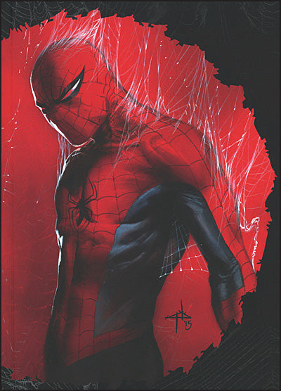 THE AMAZING SPIDER-MAN Web-Slinger, Hero, Icon