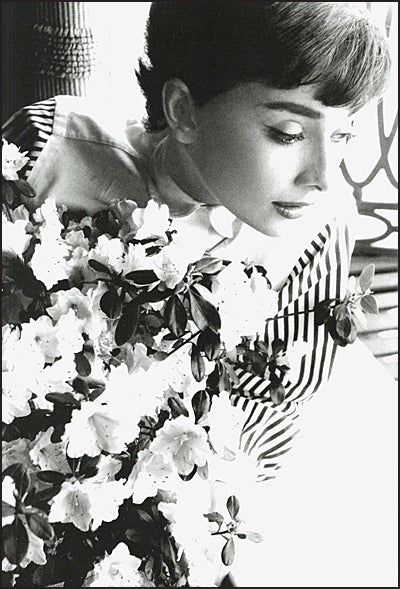 Bob Willoughby Audrey Hepburn Photographs 1953-1966