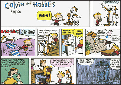 THE CALVIN AND HOBBES PORTABLE COMPENDIUM SET Volume 1