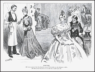 THE COMPLETE CHARLES DANA GIBSON A Widow and Her Friends