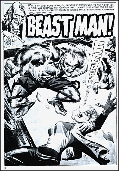 CREEPY PRESENTS Steve Ditko