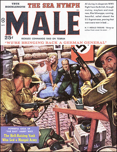 HE-MEN, BAG MEN & NYMPHOS Classic Men's Adventure Stories by Walter Kaylin