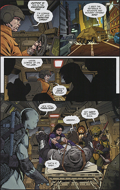 TEENAGE MUTANT NINJA TURTLES: THE LAST RONIN II—RE-EVOLUTION #2 Cover A